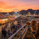 Expo Ganadera 2026 registra alta asistencia en Hermosillo