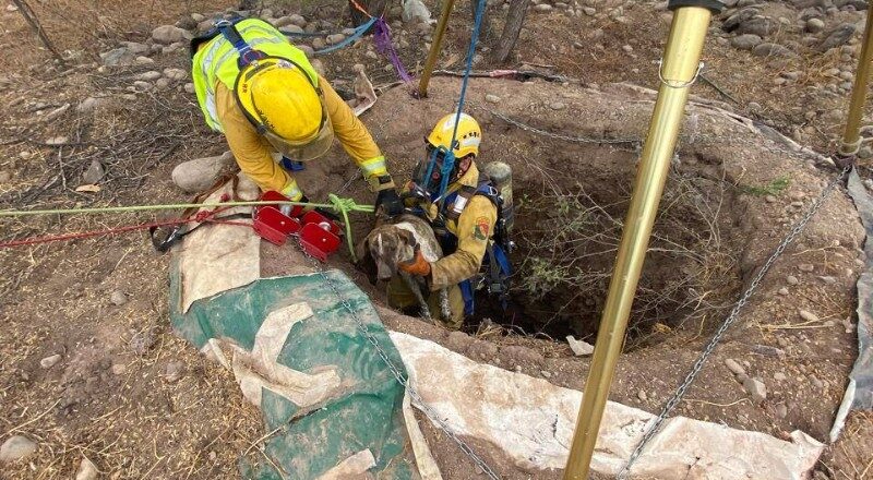Bomberos rescatan a perro atrapado en canal de Navojoa