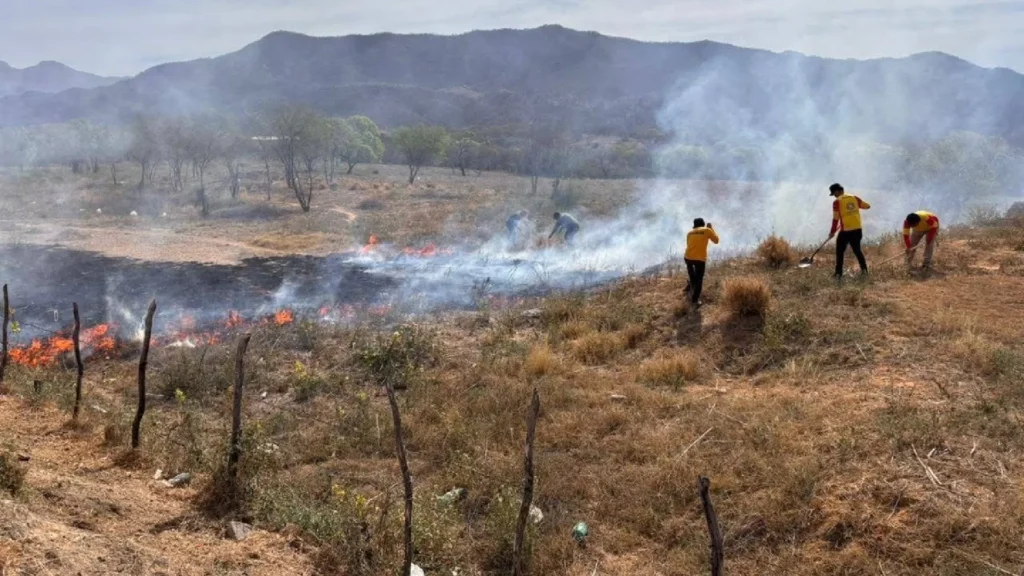 Atienden incendio de maleza en zona rural de Empalme